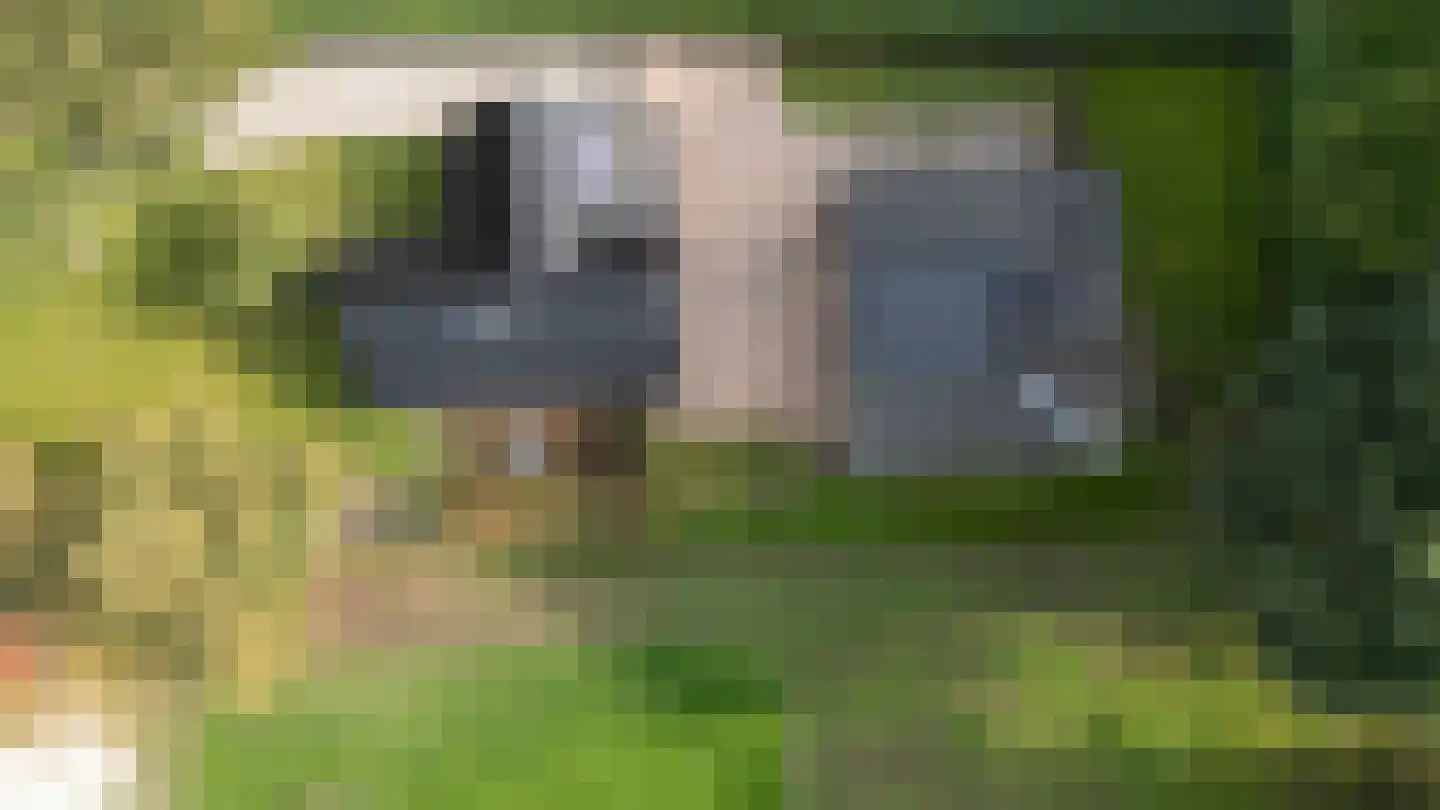 Zestiende Wijk 32 Dedemsvaart thumbnail 10