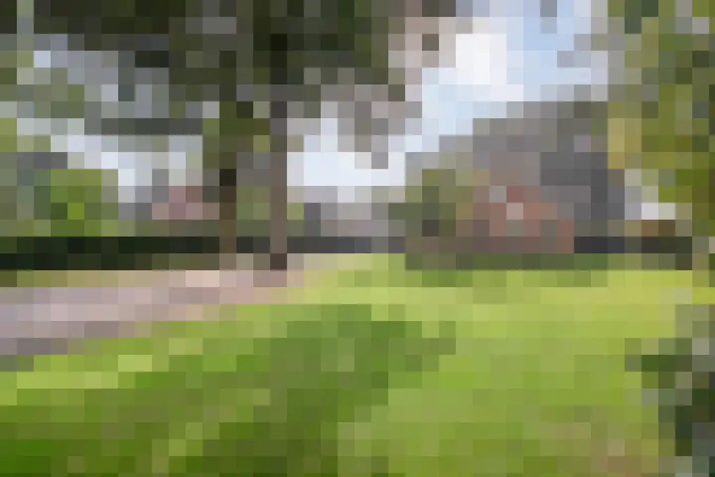 Zestiende Wijk 32 Dedemsvaart thumbnail 14