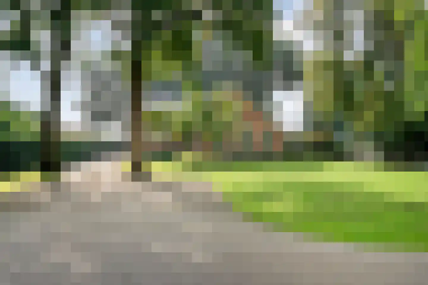 Zestiende Wijk 32 Dedemsvaart foto 2