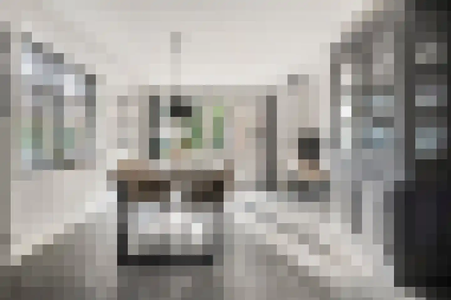 Zestiende Wijk 32 Dedemsvaart thumbnail 24