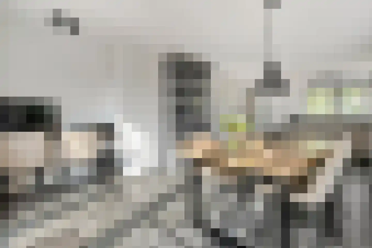 Zestiende Wijk 32 Dedemsvaart thumbnail 25