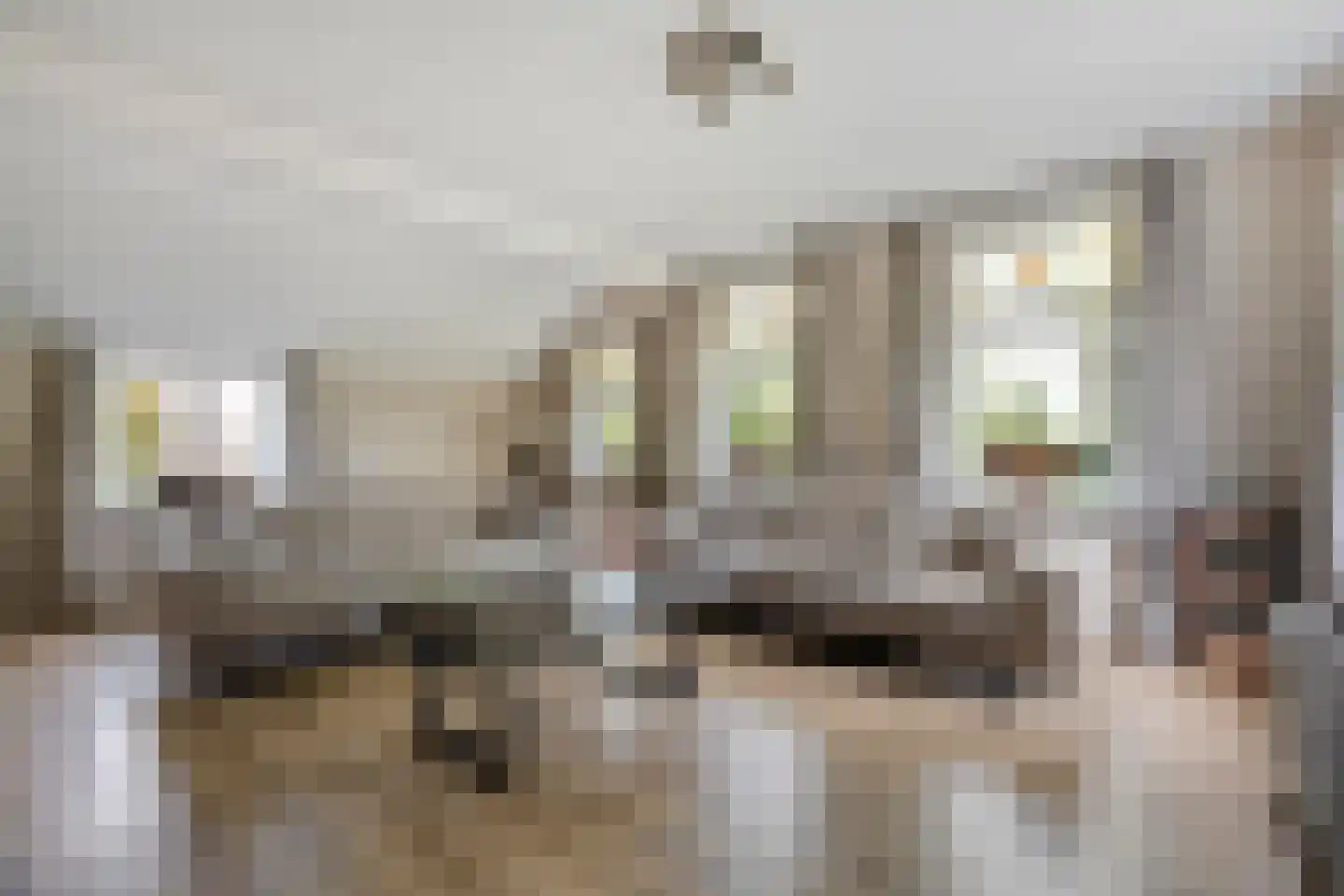 Zestiende Wijk 32 Dedemsvaart thumbnail 28