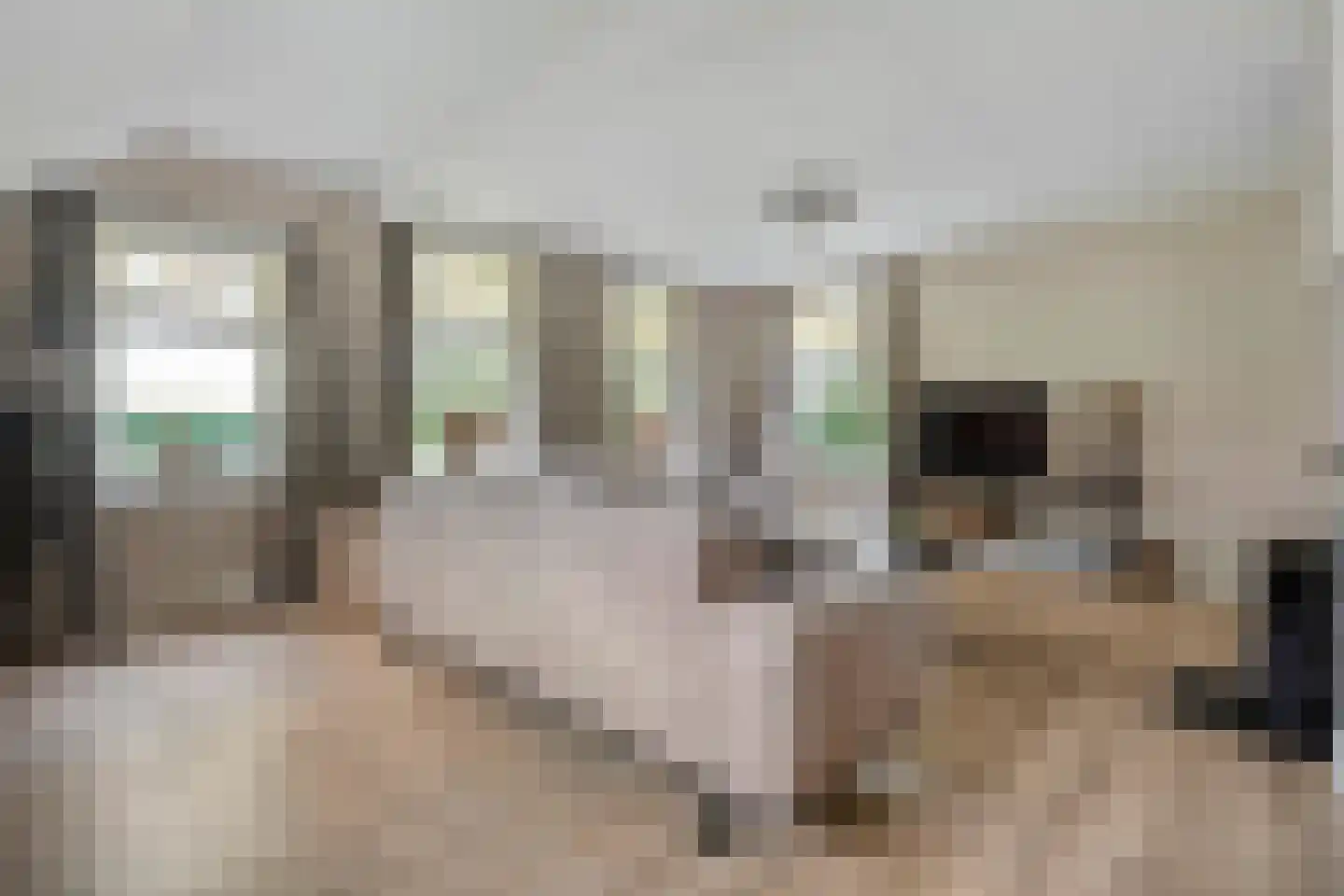 Zestiende Wijk 32 Dedemsvaart thumbnail 29