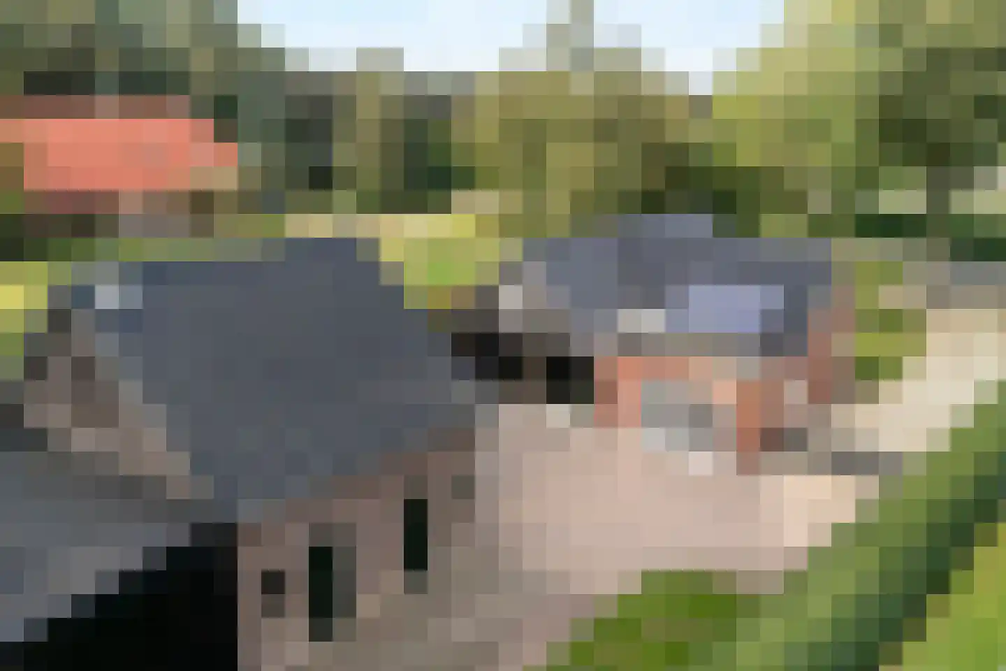 Zestiende Wijk 32 Dedemsvaart foto 3