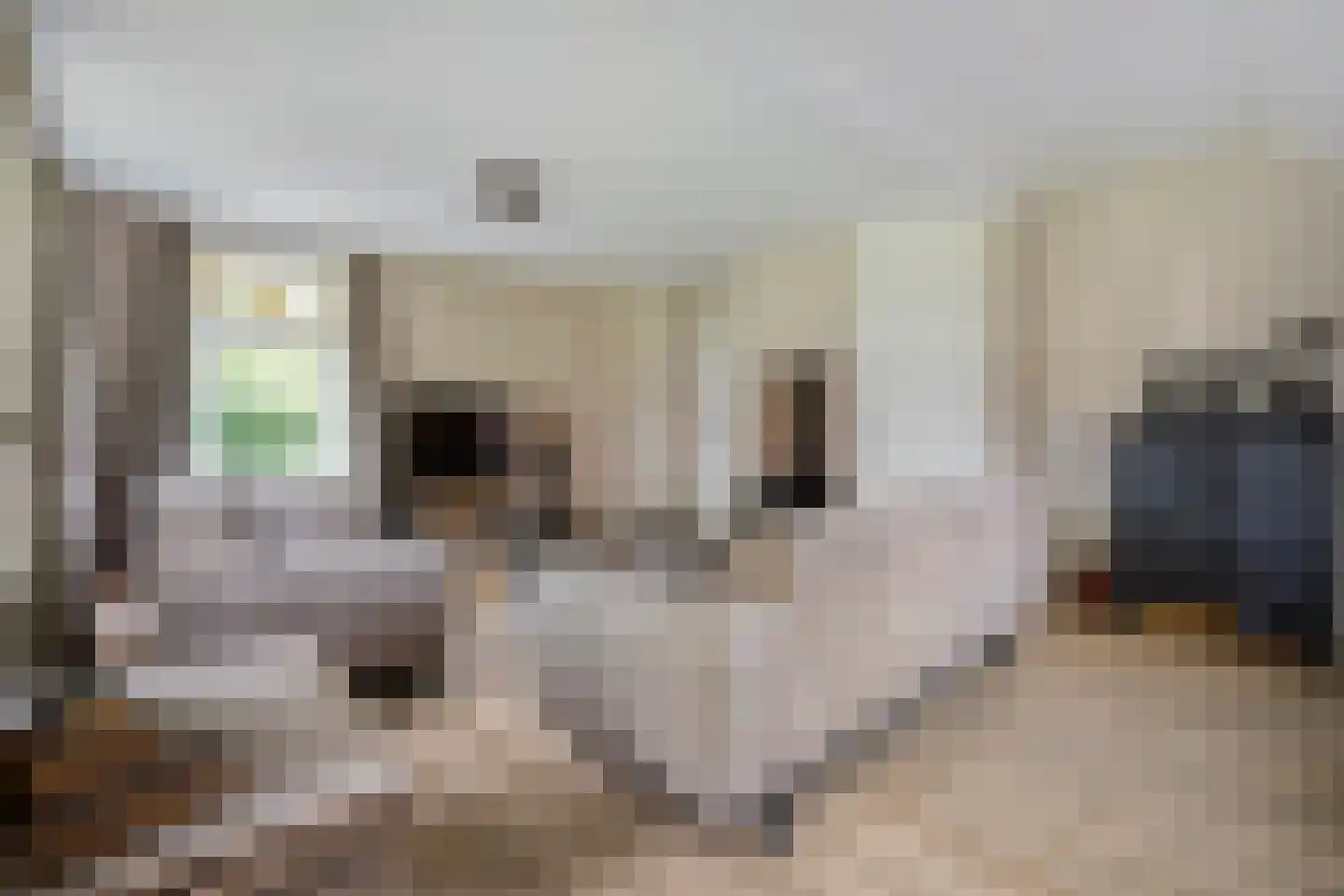 Zestiende Wijk 32 Dedemsvaart thumbnail 30
