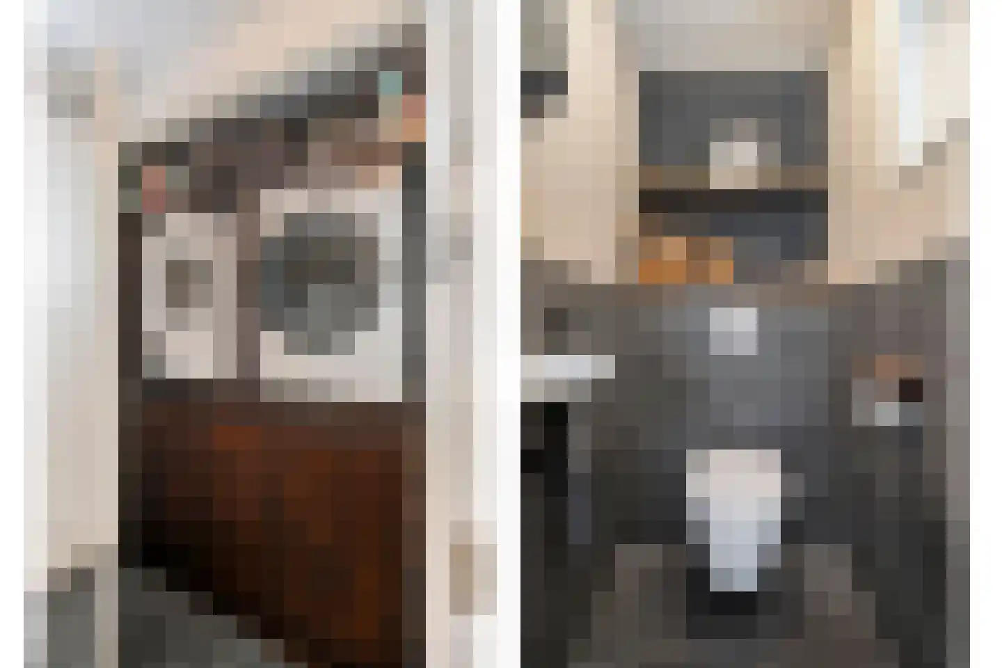 Zestiende Wijk 32 Dedemsvaart thumbnail 34