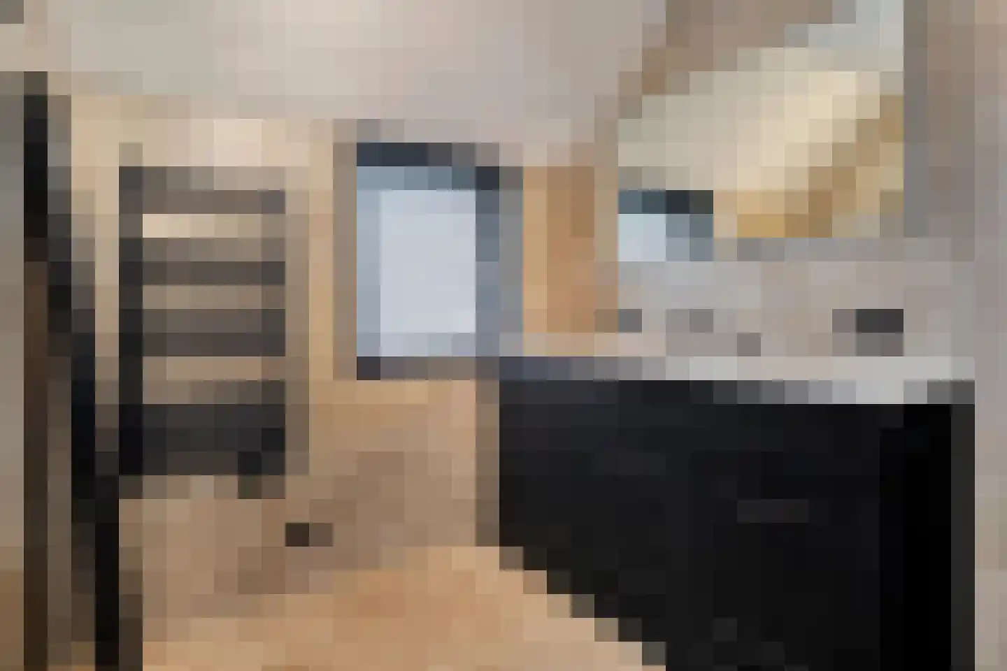 Zestiende Wijk 32 Dedemsvaart thumbnail 36