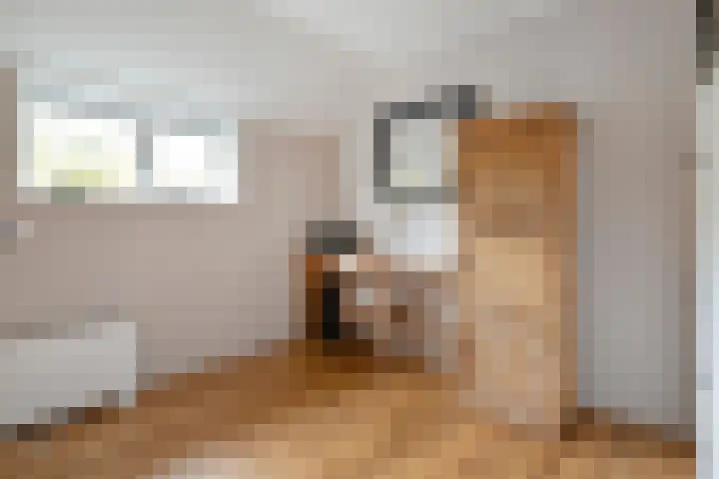 Zestiende Wijk 32 Dedemsvaart thumbnail 39