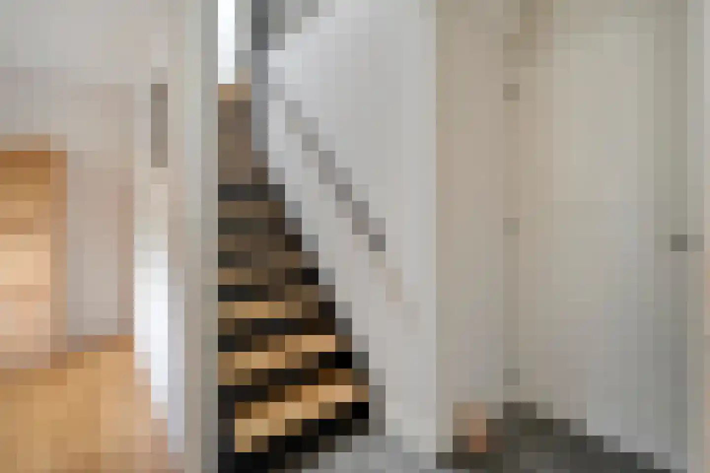 Zestiende Wijk 32 Dedemsvaart thumbnail 40