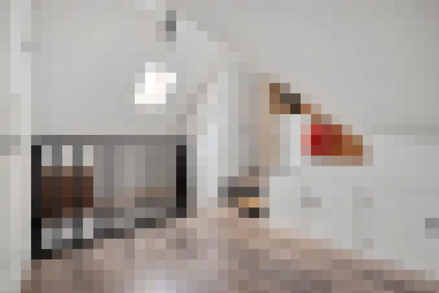 Zestiende Wijk 32 Dedemsvaart thumbnail 41