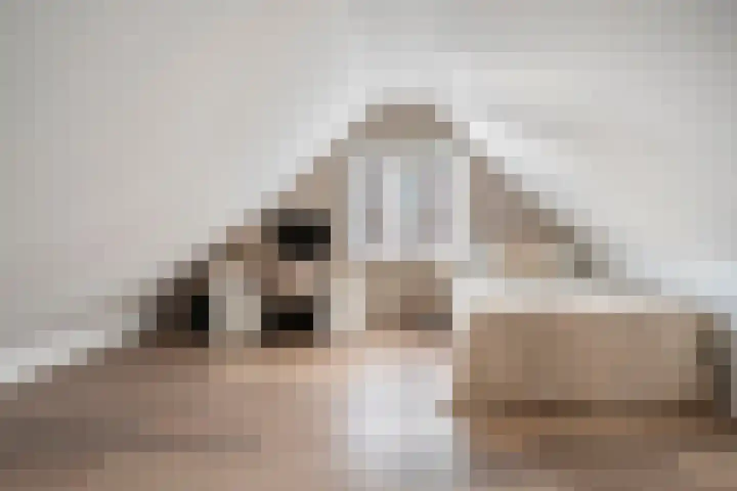 Zestiende Wijk 32 Dedemsvaart thumbnail 43