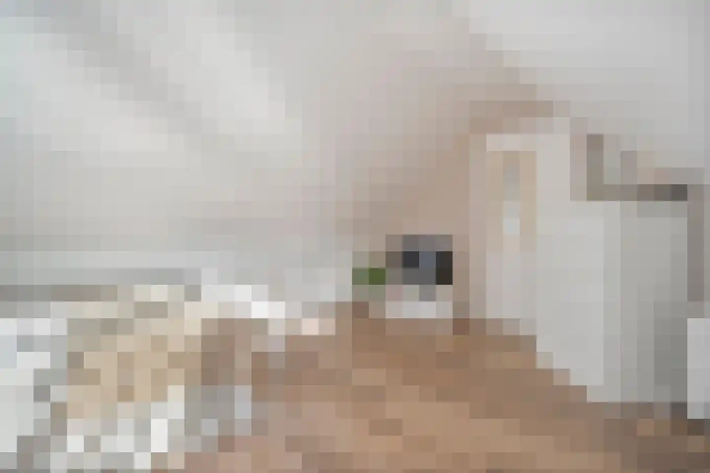 Zestiende Wijk 32 Dedemsvaart thumbnail 44