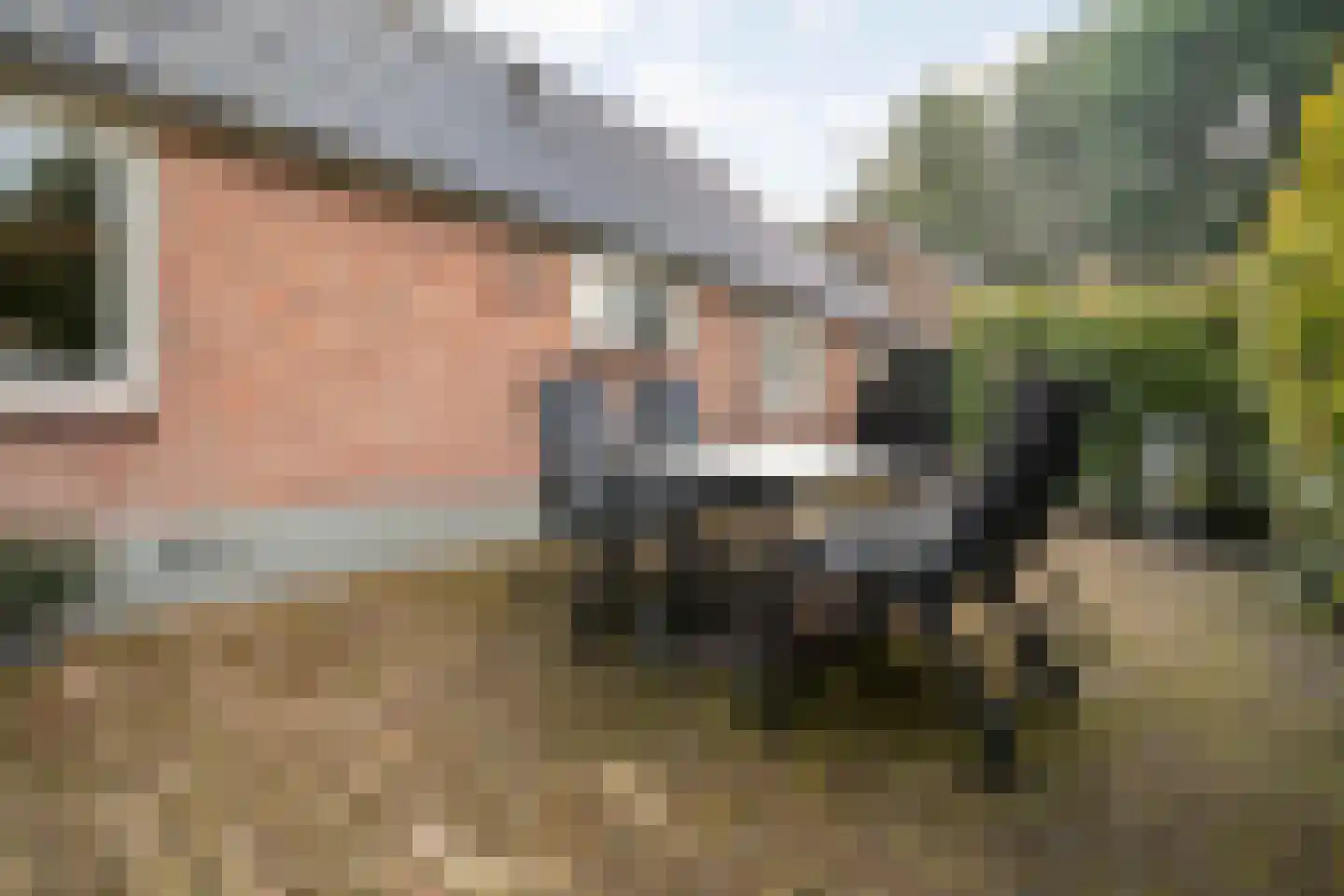 Zestiende Wijk 32 Dedemsvaart thumbnail 55