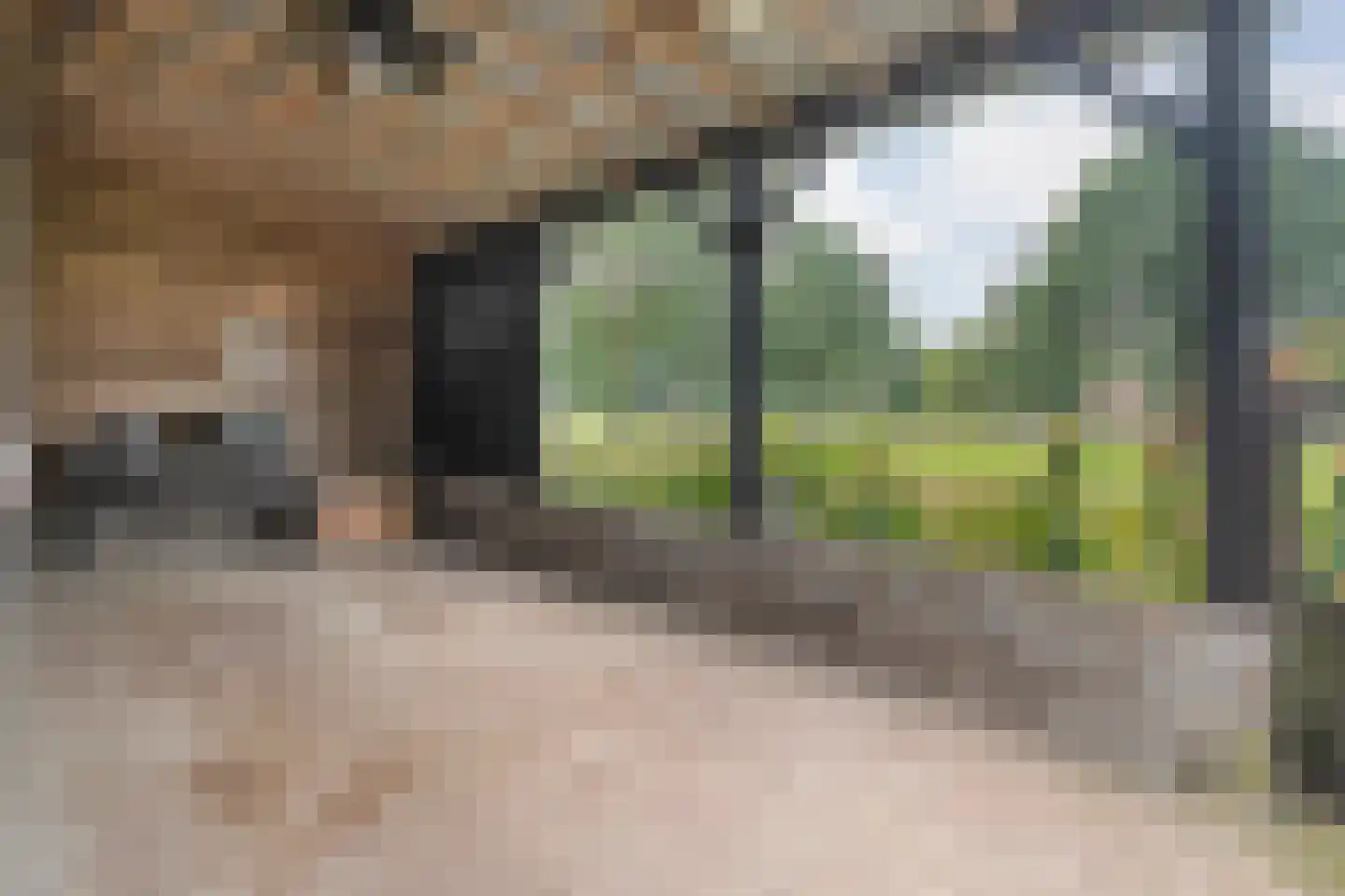 Zestiende Wijk 32 Dedemsvaart thumbnail 57