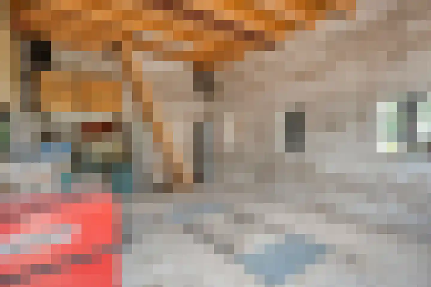 Zestiende Wijk 32 Dedemsvaart thumbnail 60
