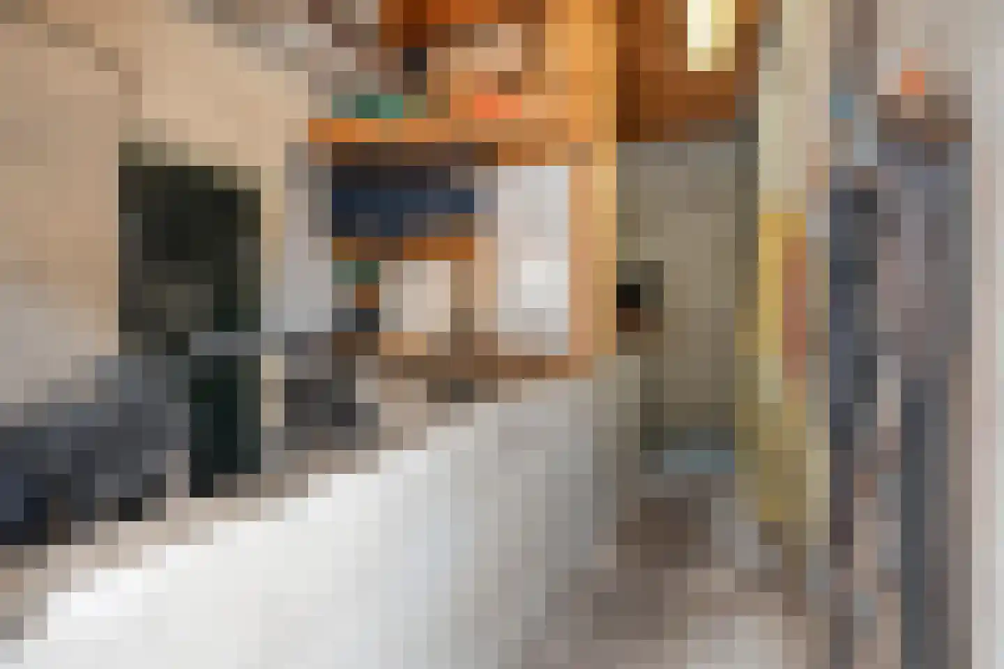 Zestiende Wijk 32 Dedemsvaart thumbnail 61