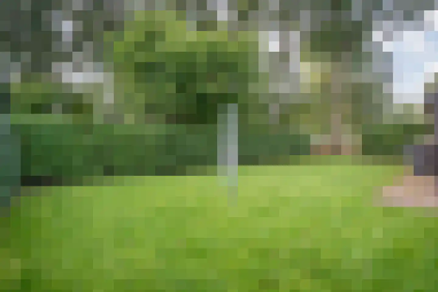 Zestiende Wijk 32 Dedemsvaart thumbnail 63