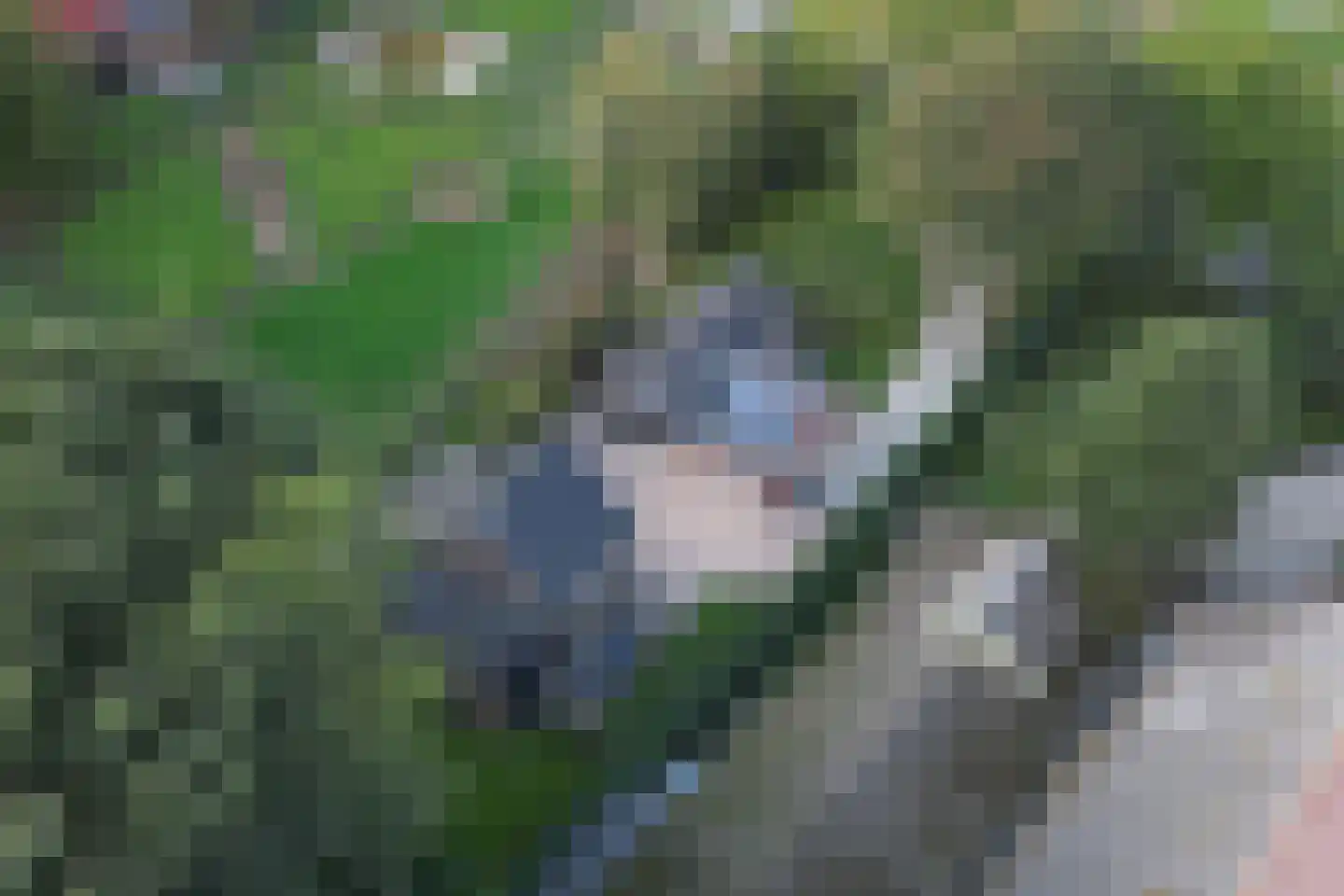 Zestiende Wijk 32 Dedemsvaart thumbnail 8