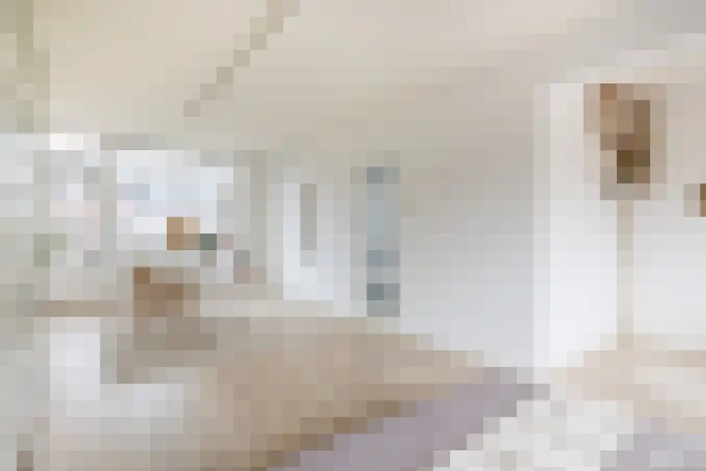 Zestienhovensekade 113 Rotterdam thumbnail 15