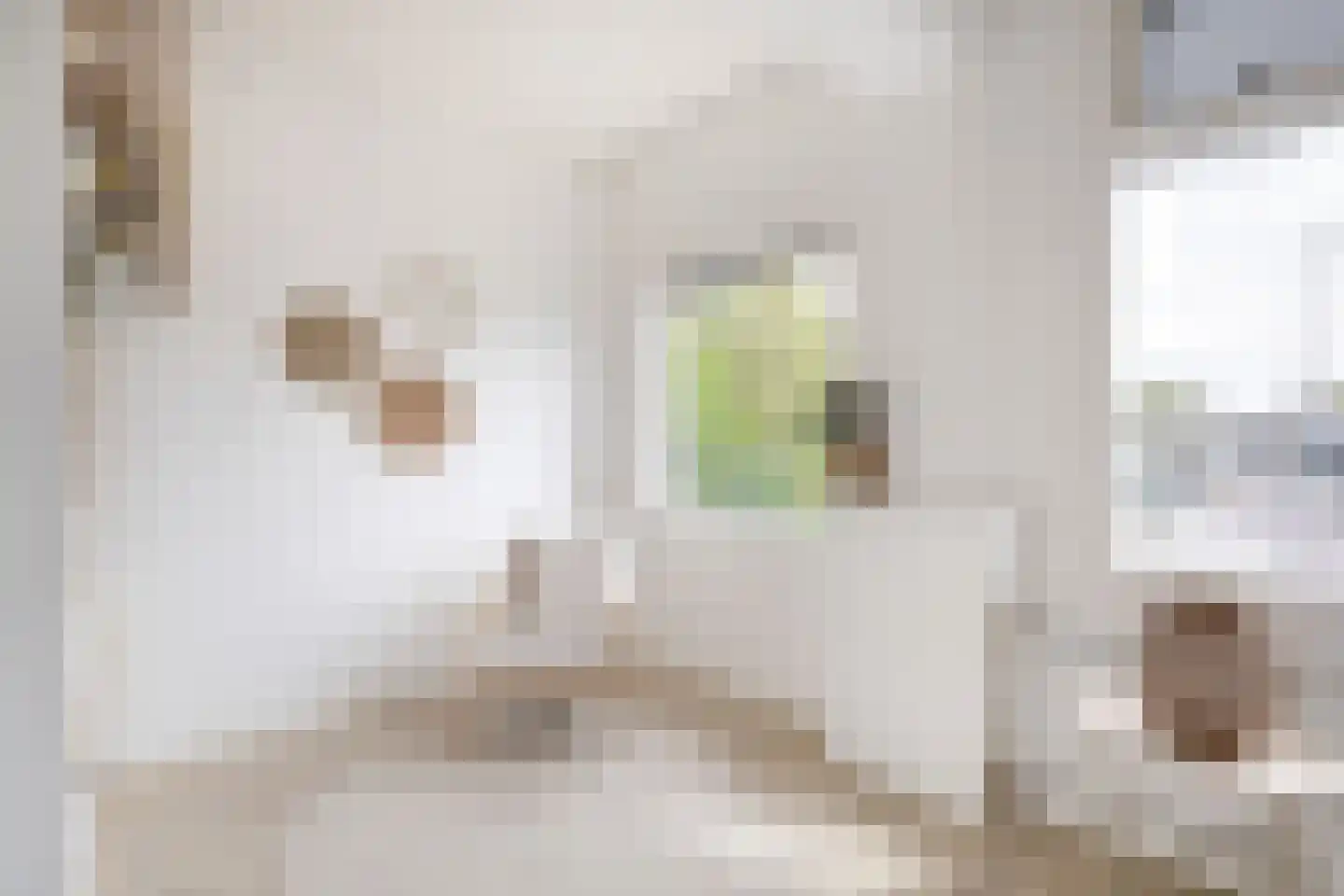 Zestienhovensekade 113 Rotterdam thumbnail 16