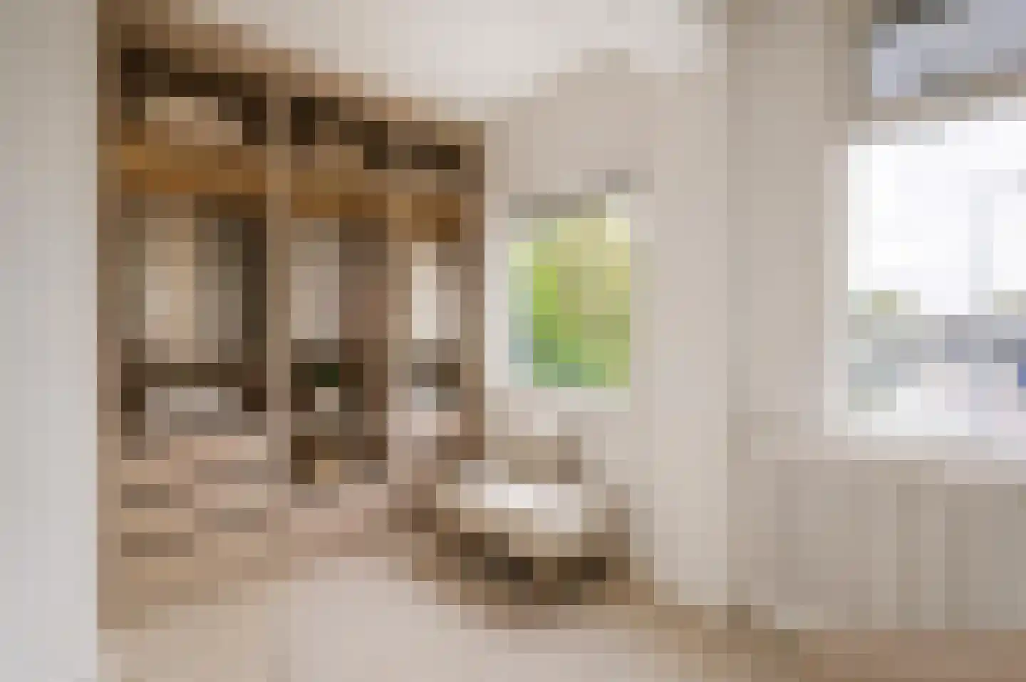 Zestienhovensekade 113 Rotterdam thumbnail 17