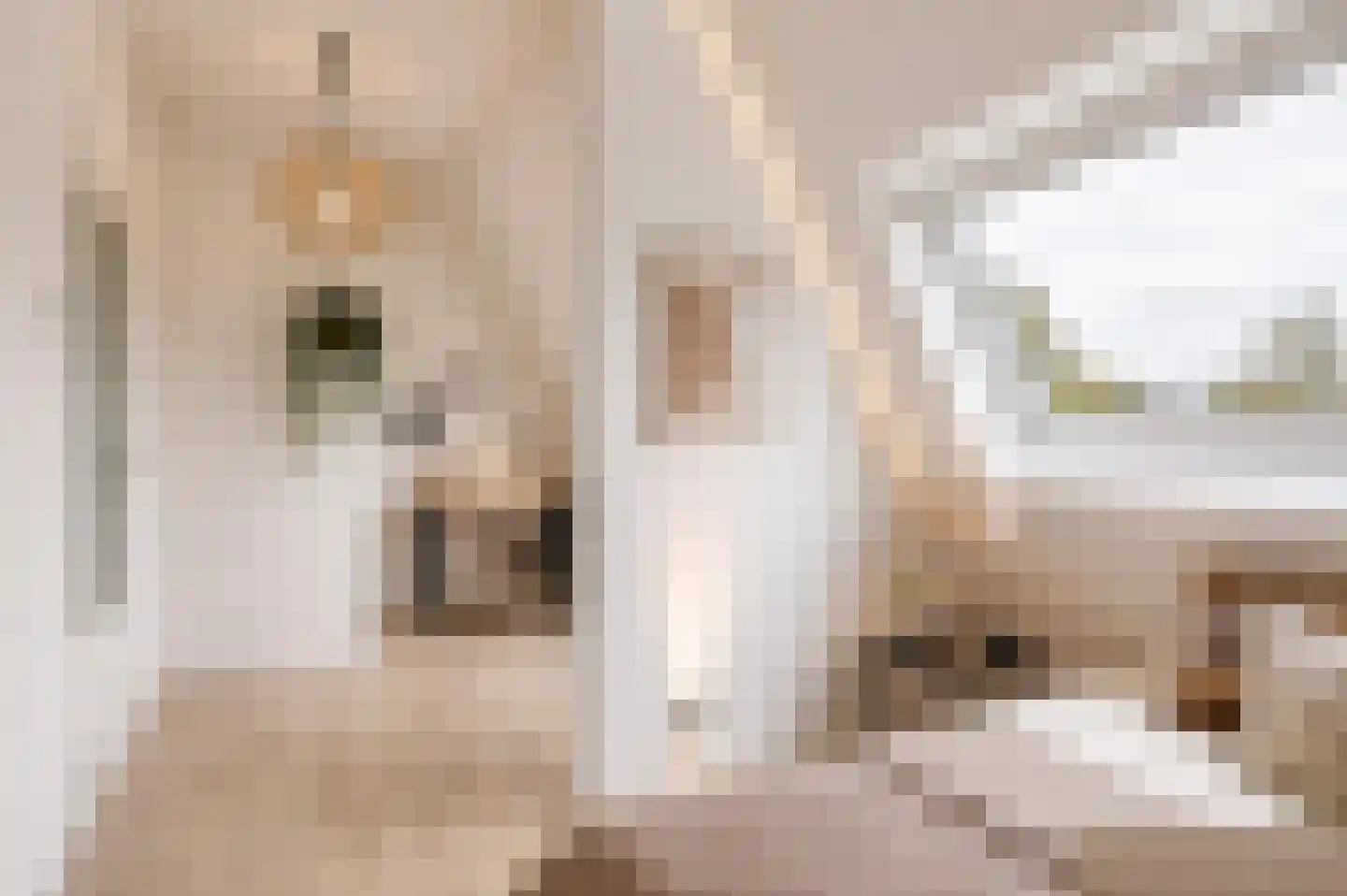 Zestienhovensekade 113 Rotterdam thumbnail 23