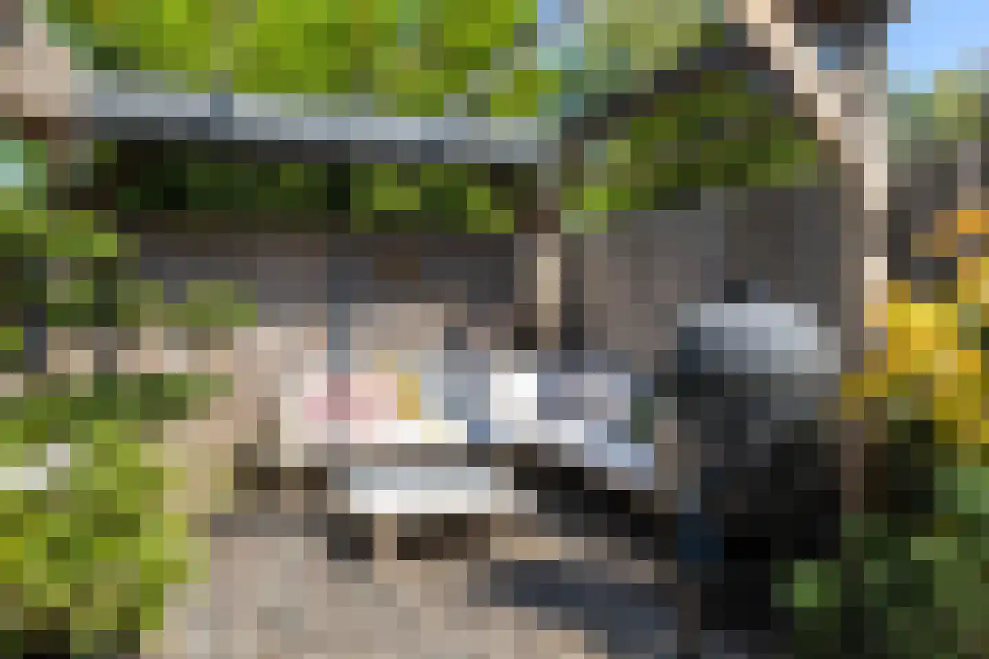 Zestienhovensekade 135 Rotterdam thumbnail 13
