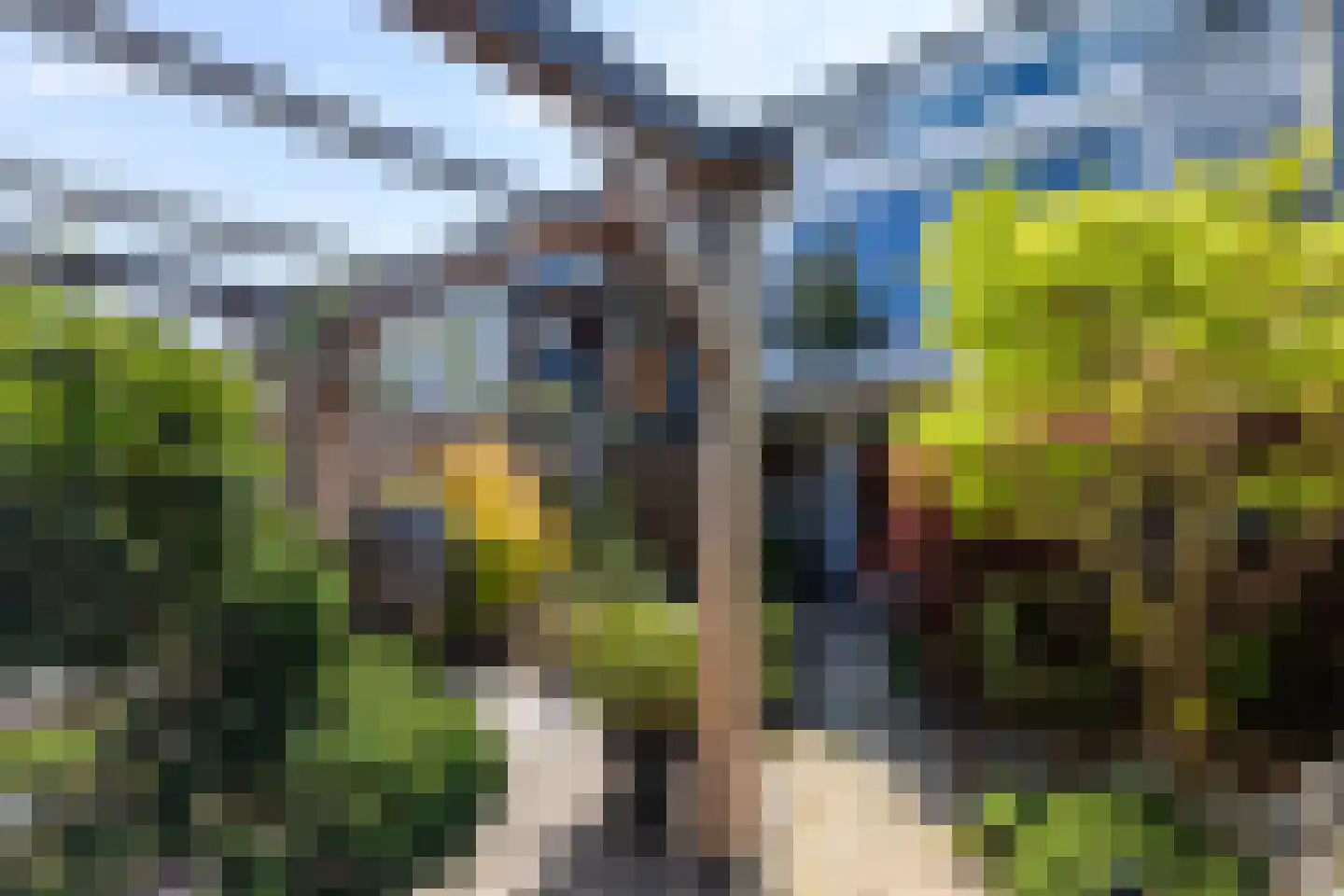 Zestienhovensekade 135 Rotterdam thumbnail 14