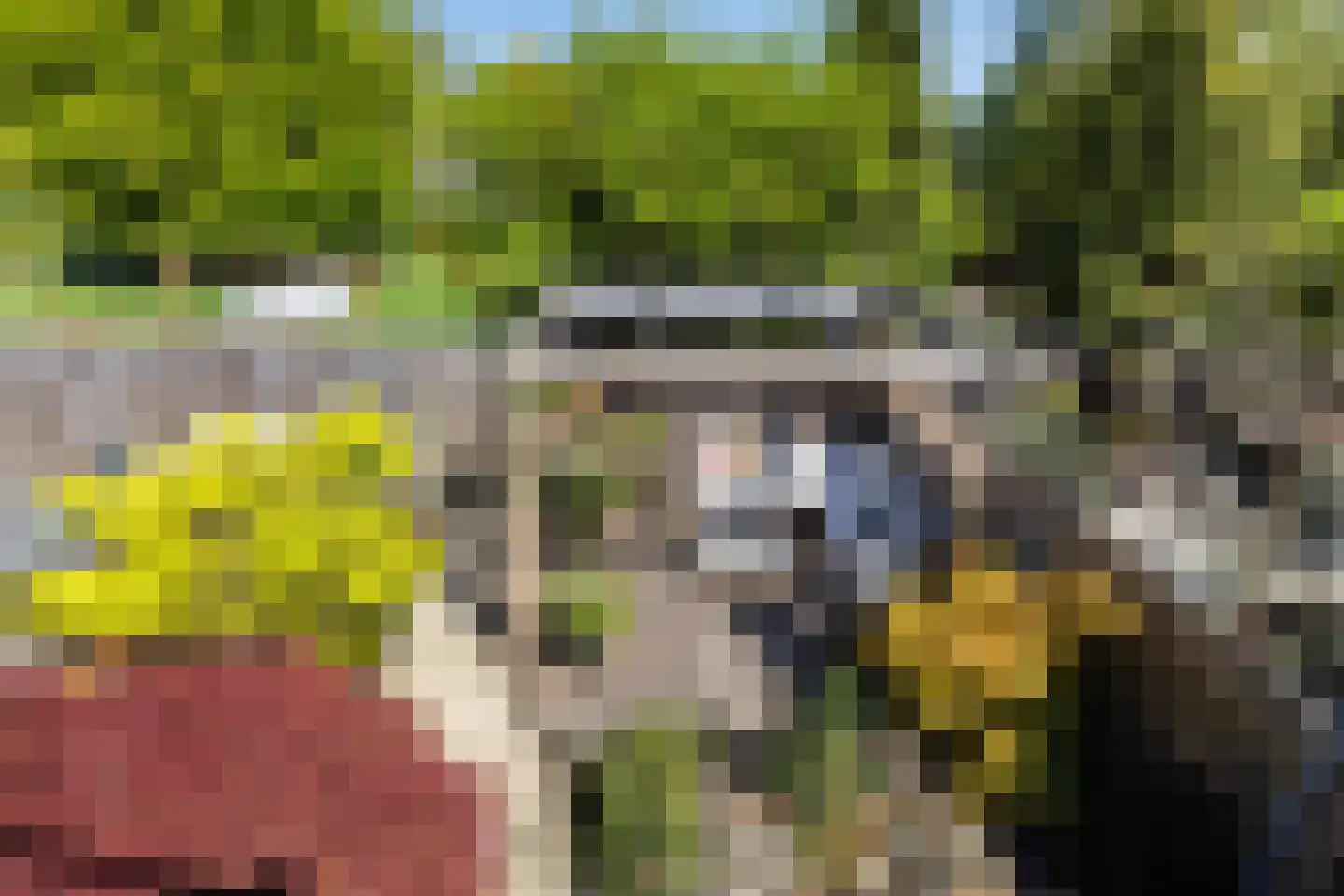 Zestienhovensekade 135 Rotterdam thumbnail 25