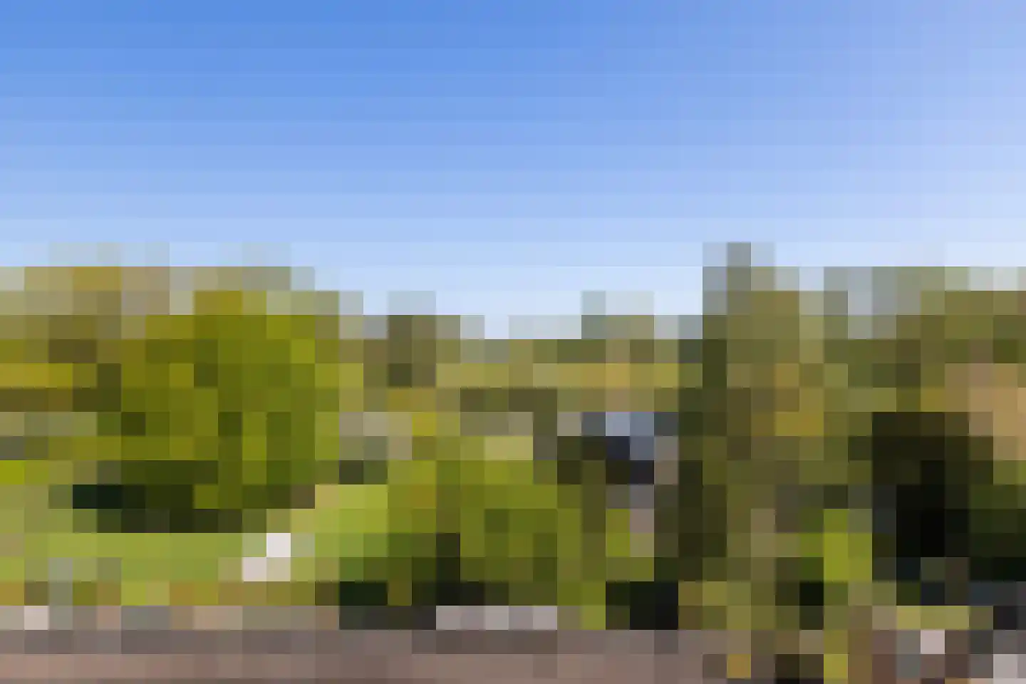 Zestienhovensekade 135 Rotterdam thumbnail 26