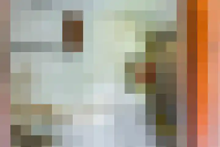 Zestienhovensekade 147 Rotterdam thumbnail 24