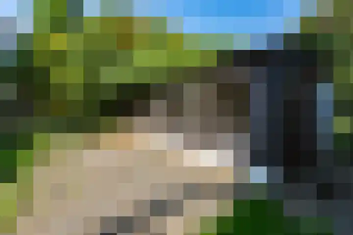 Zestienhovensekade 147 Rotterdam thumbnail 25