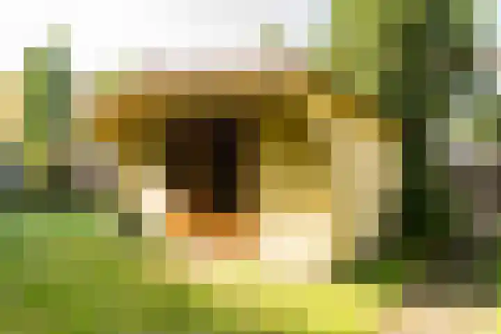 Zestienhovensekade 147 Rotterdam thumbnail 28
