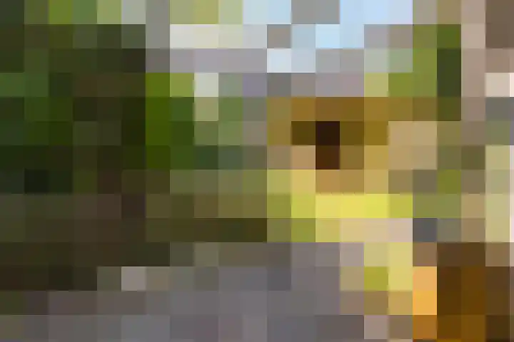 Zestienhovensekade 147 Rotterdam thumbnail 29