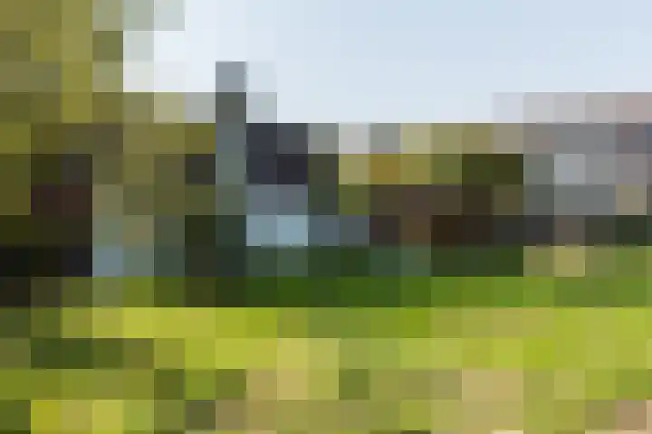 Zestienhovensekade 147 Rotterdam thumbnail 30