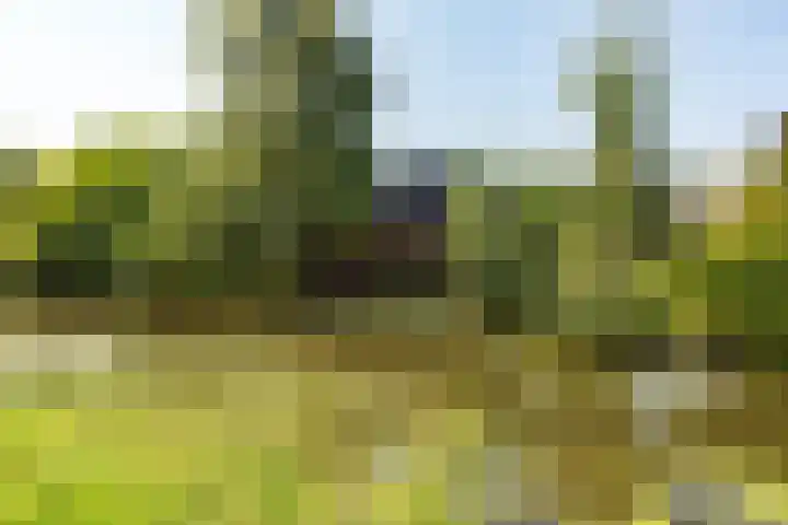 Zestienhovensekade 147 Rotterdam thumbnail 32