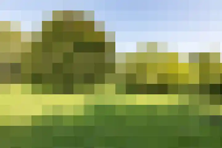 Zestienhovensekade 147 Rotterdam thumbnail 33