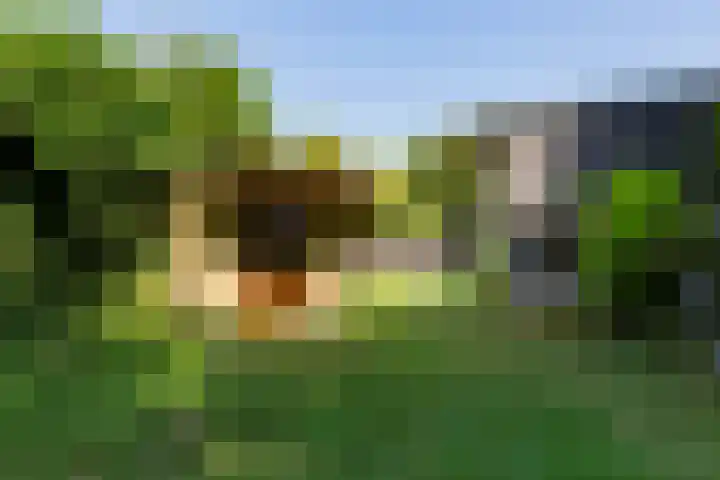Zestienhovensekade 147 Rotterdam thumbnail 4