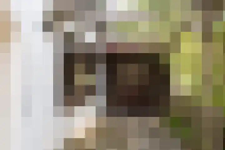 Zestienhovensekade 147 Rotterdam thumbnail 6