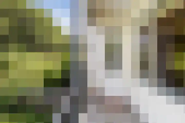 Zestienhovensekade 181 Rotterdam thumbnail 16