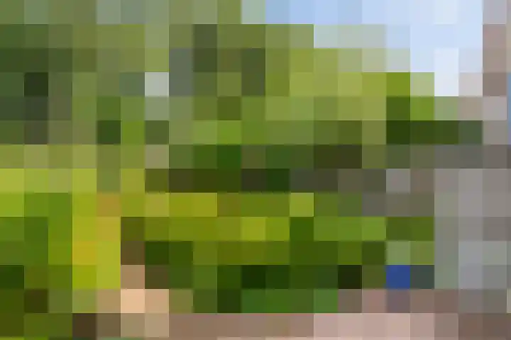 Zestienhovensekade 181 Rotterdam thumbnail 18