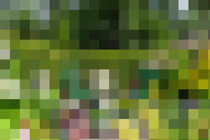 Zestienhovensekade 181 Rotterdam thumbnail 20