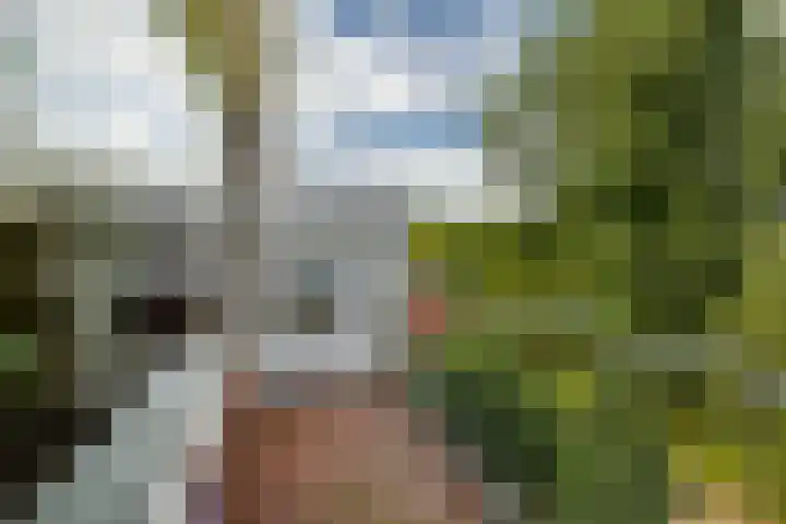 Zestienhovensekade 183 Rotterdam thumbnail 28