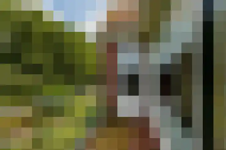 Zestienhovensekade 183 Rotterdam thumbnail 29