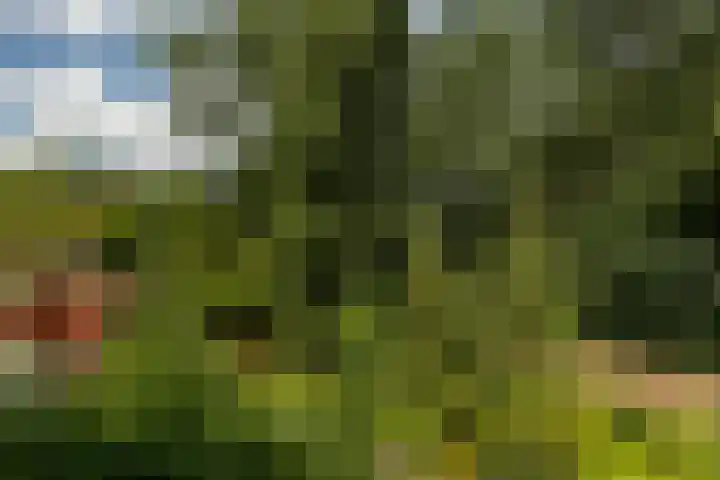 Zestienhovensekade 183 Rotterdam thumbnail 32