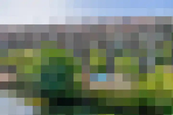 Zestienhovensekade 191 Rotterdam thumbnail 24