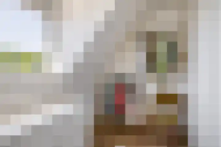 Zestienhovensekade 191 Rotterdam thumbnail 42