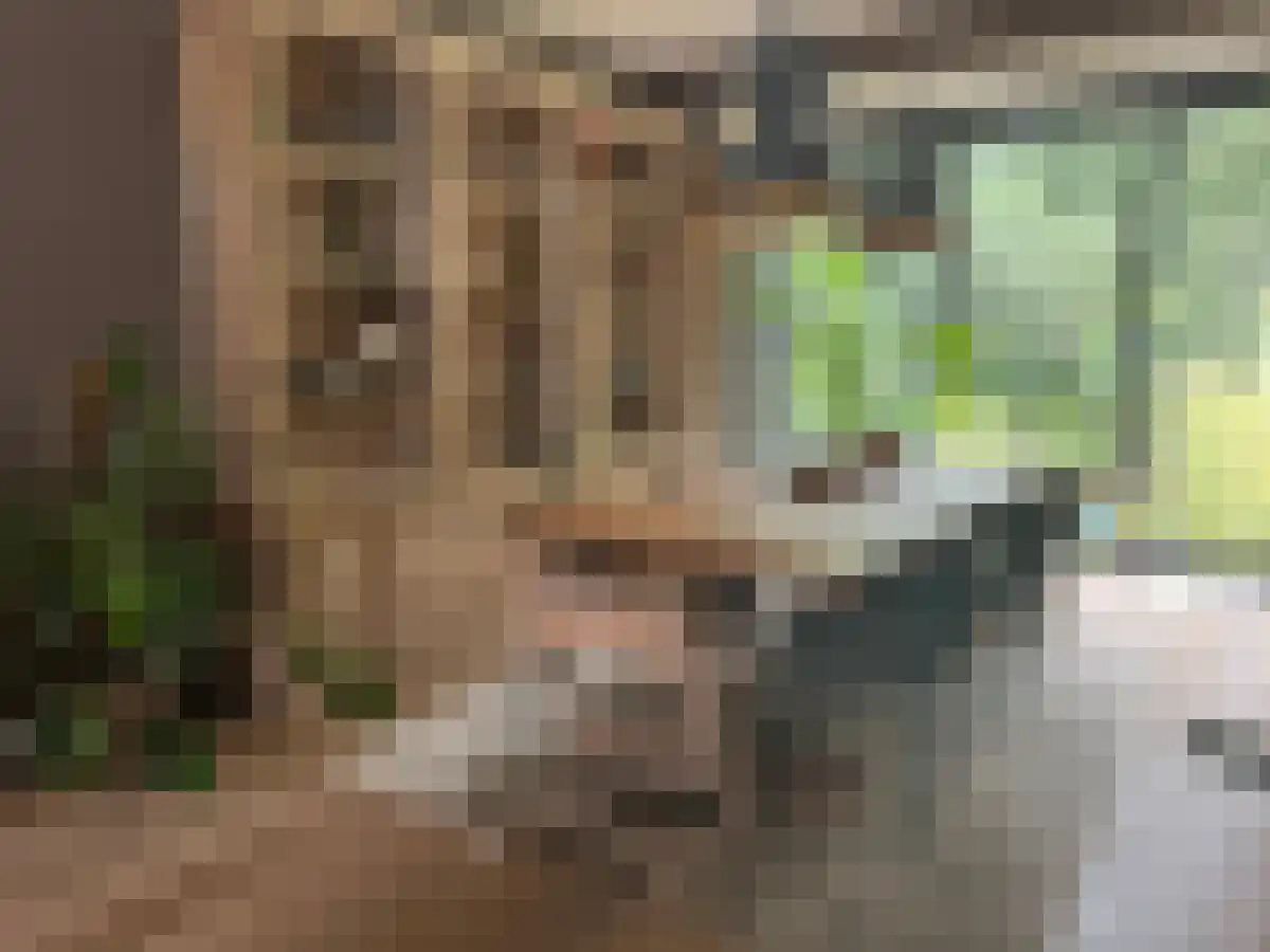 Zestienhovensekade 197 Rotterdam thumbnail 4