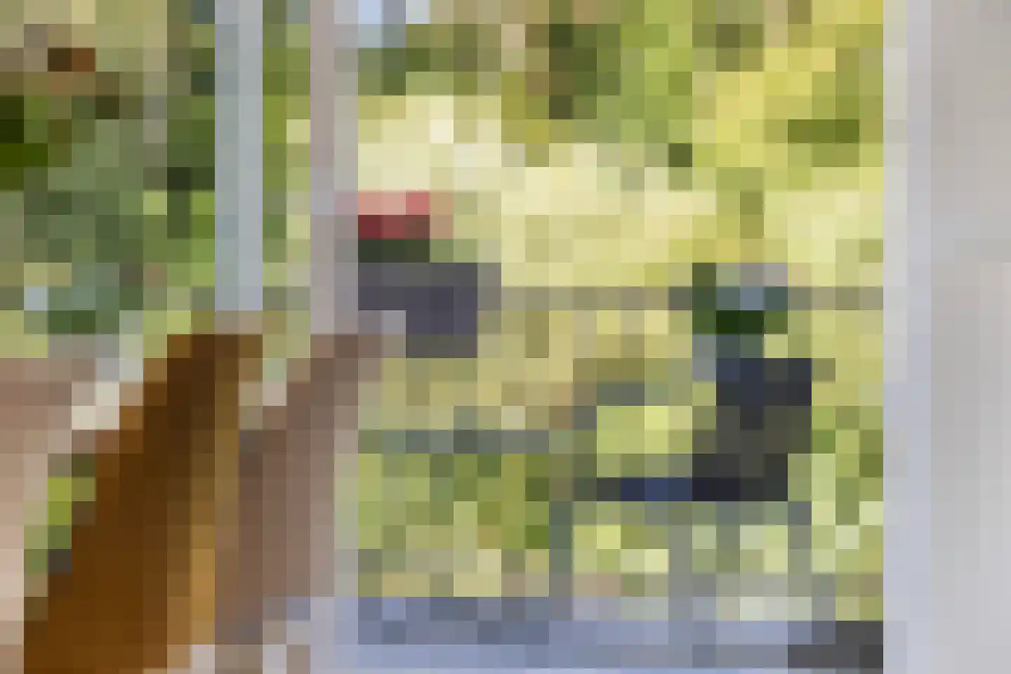 Zestienhovensekade 199 Rotterdam thumbnail 17