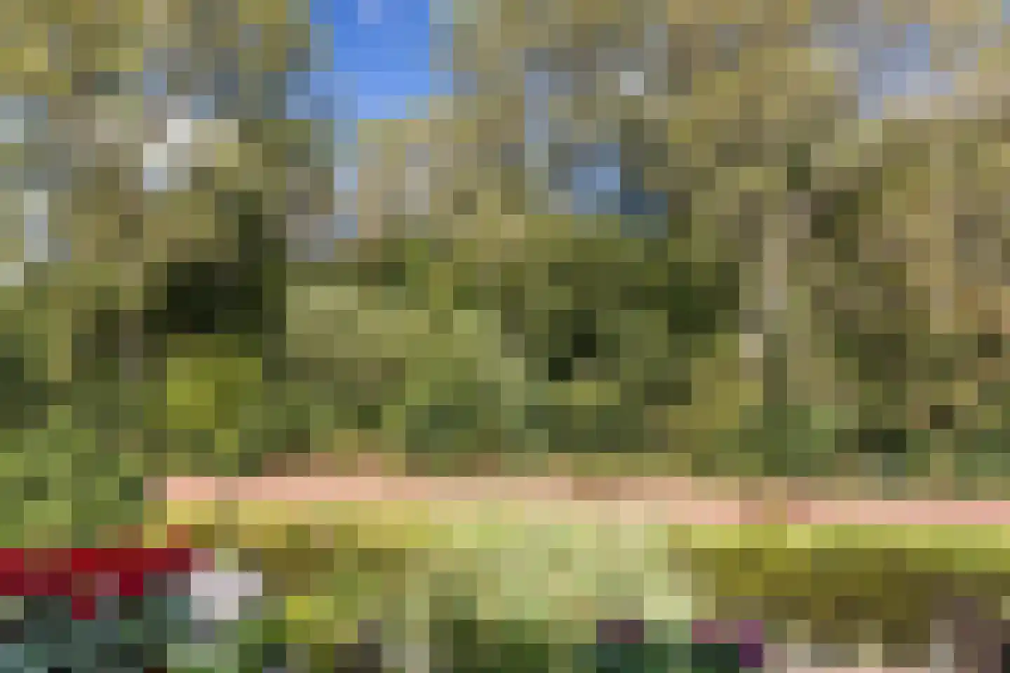 Zestienhovensekade 199 Rotterdam thumbnail 21